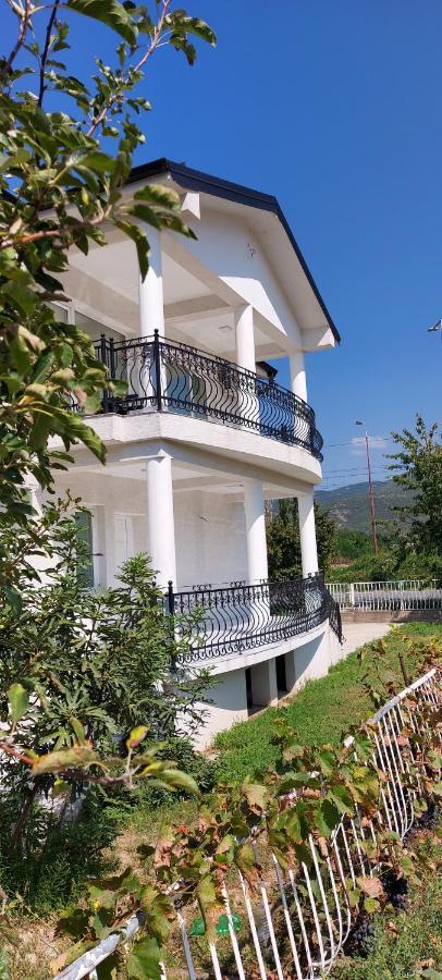 Villa Bratislava เดมีร์ คาเปีย ภายนอก รูปภาพ