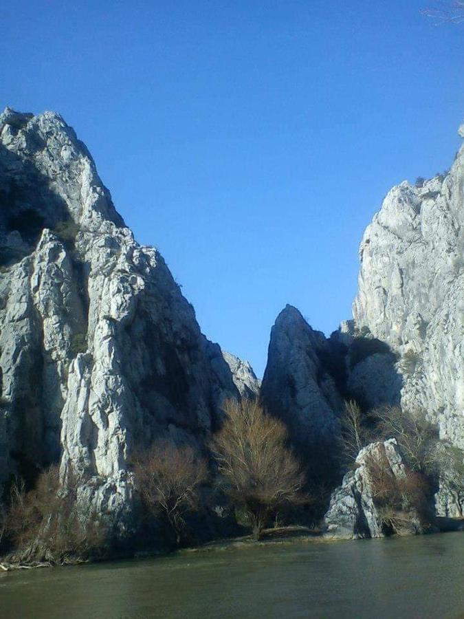 Villa Bratislava เดมีร์ คาเปีย ภายนอก รูปภาพ